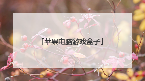 苹果电脑游戏盒子