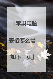 苹果电脑表格怎么增加下一页