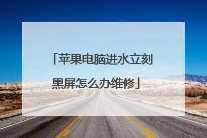 苹果电脑进水立刻黑屏怎么办维修