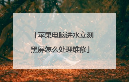 苹果电脑进水立刻黑屏怎么处理维修