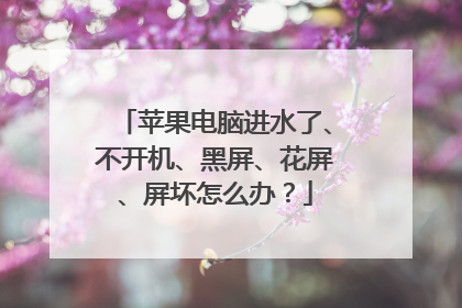 苹果电脑进水了、不开机、黑屏、花屏、屏坏怎么办？