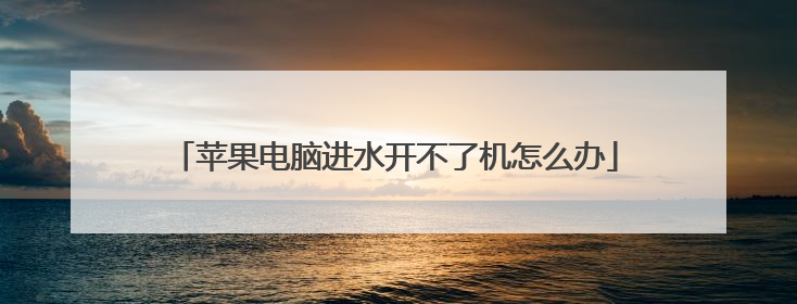 苹果电脑进水开不了机怎么办