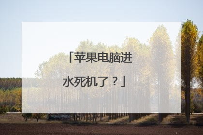 苹果电脑进水死机了？