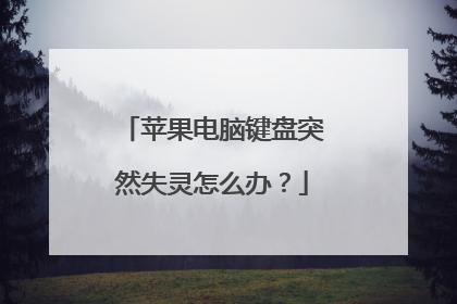 苹果电脑键盘突然失灵怎么办?
