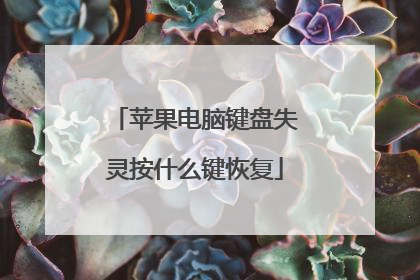苹果电脑键盘失灵按什么键恢复