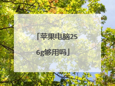 苹果电脑256g够用吗