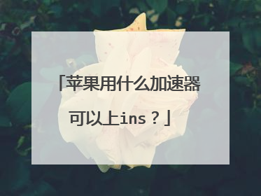 苹果用什么加速器可以上ins?