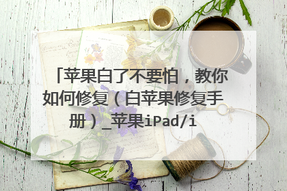 苹果白了不要怕,教你如何修复(白苹果修复手册)_苹果iPad/iPad2论坛_太平洋电脑网产品论坛