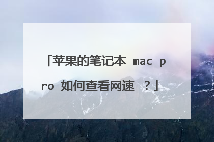 苹果的笔记本 mac pro 如何查看网速 ？