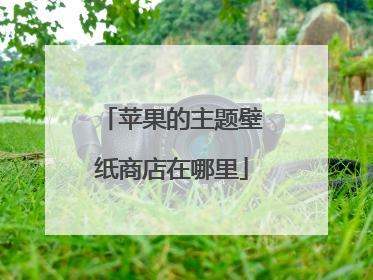 苹果的主题壁纸商店在哪里