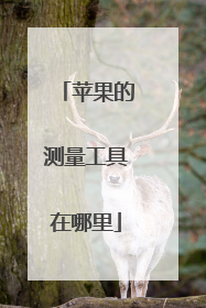 苹果的测量工具在哪里