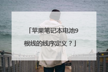 苹果笔记本电池9根线的线序定义?