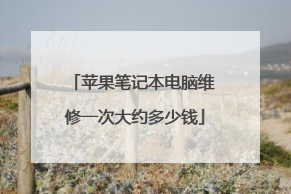 苹果笔记本电脑维修一次大约多少钱
