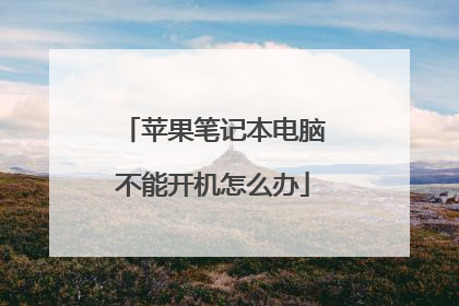 苹果笔记本电脑不能开机怎么办