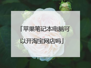 苹果笔记本电脑可以开淘宝网店吗