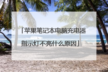 苹果笔记本电脑充电器指示灯不亮什么原因
