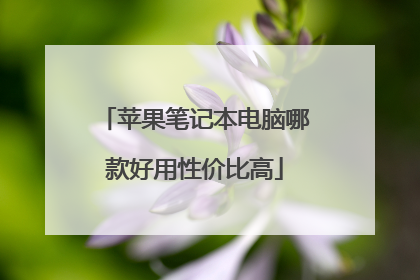 苹果笔记本电脑哪款好用性价比高