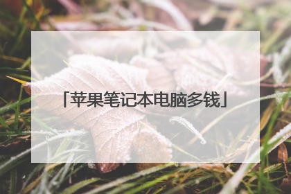 苹果笔记本电脑多钱