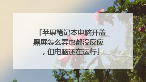 苹果笔记本电脑开盖黑屏怎么弄也都没反应,但电脑还在运行