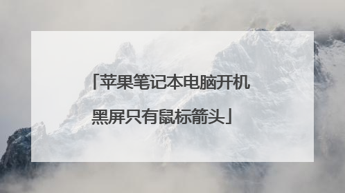 苹果笔记本电脑开机黑屏只有鼠标箭头