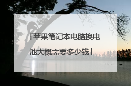 苹果笔记本电脑换电池大概需要多少钱