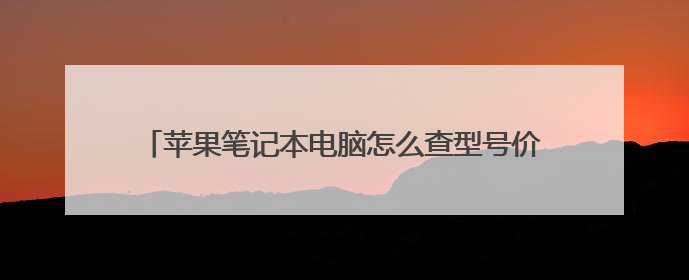 苹果笔记本电脑怎么查型号价格(macbook air 13寸128GB)、谢谢!