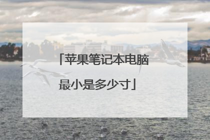 苹果笔记本电脑最小是多少寸
