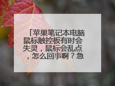 苹果笔记本电脑鼠标触控板有时会失灵，鼠标会乱点，怎么回事啊？急！！！