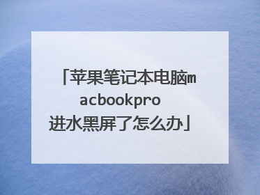 苹果笔记本电脑macbookpro进水黑屏了怎么办