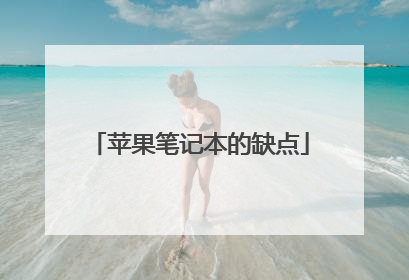 苹果笔记本的缺点