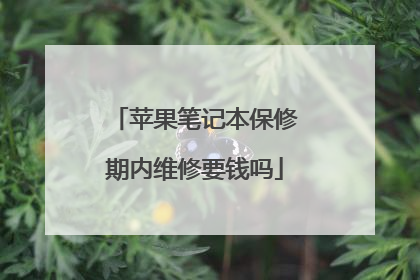 苹果笔记本保修期内维修要钱吗