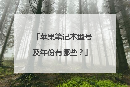 苹果笔记本型号及年份有哪些?