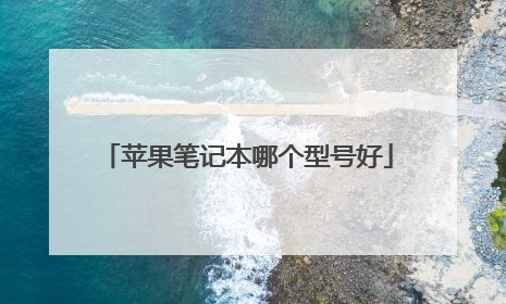 苹果笔记本哪个型号好