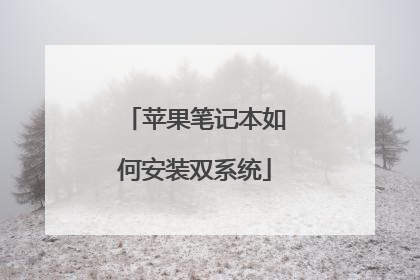 苹果笔记本如何安装双系统