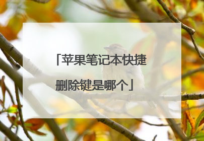 苹果笔记本快捷删除键是哪个