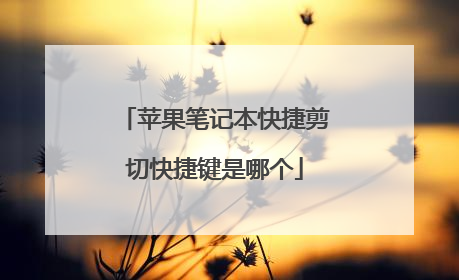 苹果笔记本快捷剪切快捷键是哪个