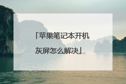 苹果笔记本开机灰屏怎么解决