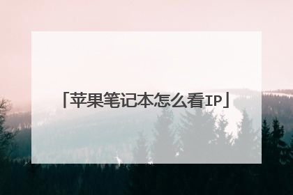 苹果笔记本怎么看IP