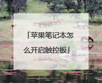 苹果笔记本怎么开启触控板
