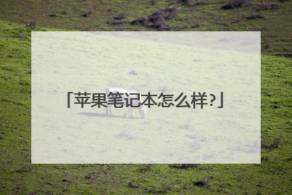 苹果笔记本怎么样?