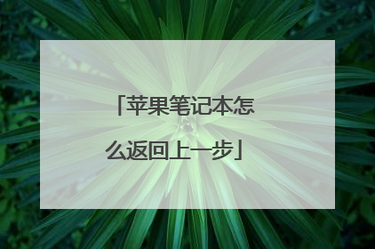 苹果笔记本怎么返回上一步