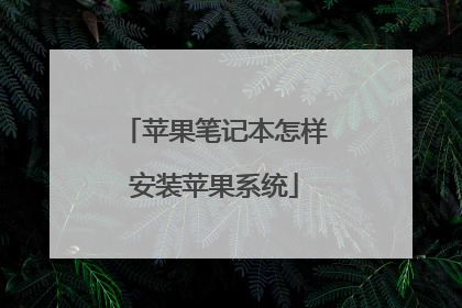 苹果笔记本怎样安装苹果系统