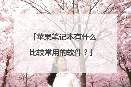 苹果笔记本有什么比较常用的软件?