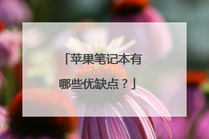 苹果笔记本有哪些优缺点?