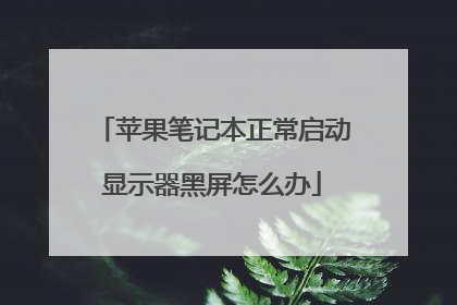 苹果笔记本正常启动显示器黑屏怎么办