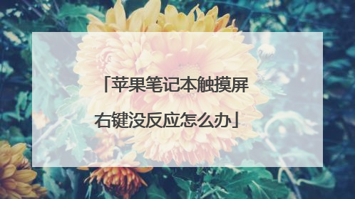 苹果笔记本触摸屏右键没反应怎么办