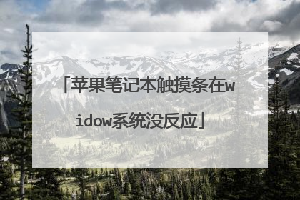 苹果笔记本触摸条在widow系统没反应