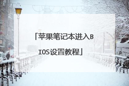苹果笔记本进入BIOS设置教程