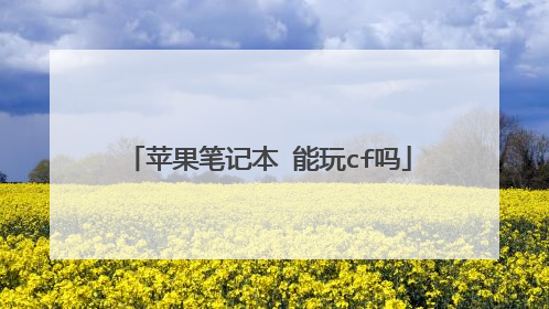 苹果笔记本 能玩cf吗