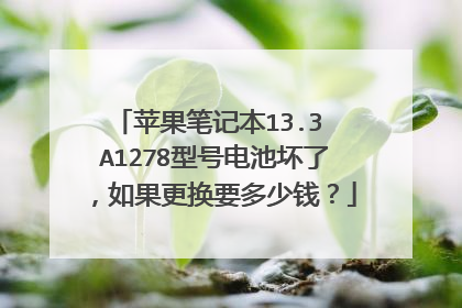 苹果笔记本13.3 A1278型号电池坏了,如果更换要多少钱?
